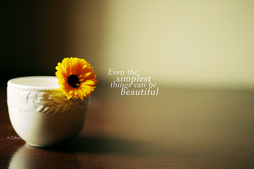 "Simplicity"