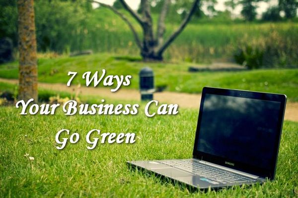 7 Ways Your Business Becomes Environmentally Friendly