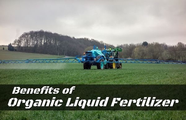 Benefits of Organic Liquid Fertilizer