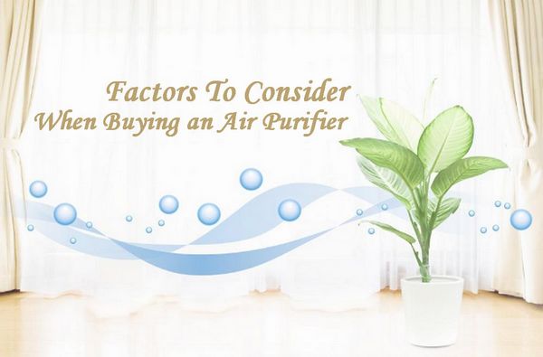 Factors To Consider When Purchasing An Air Purifier