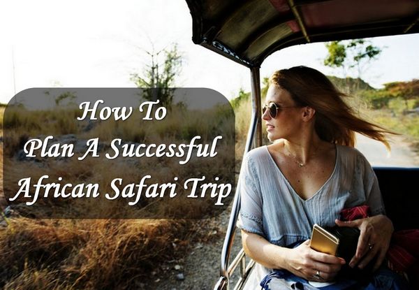 How to Plan a Successful African Safari Trip