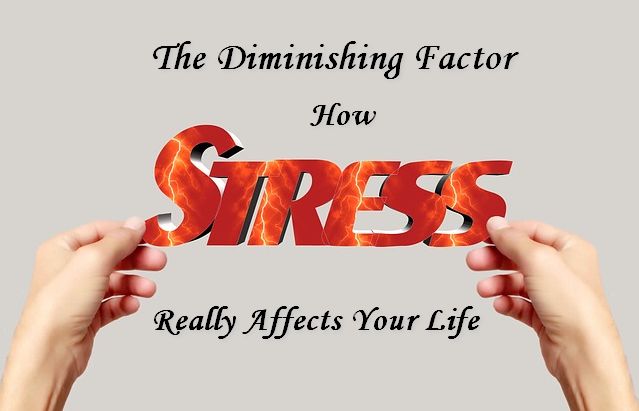 Deducting Factor How Stress Really Affects Your Life