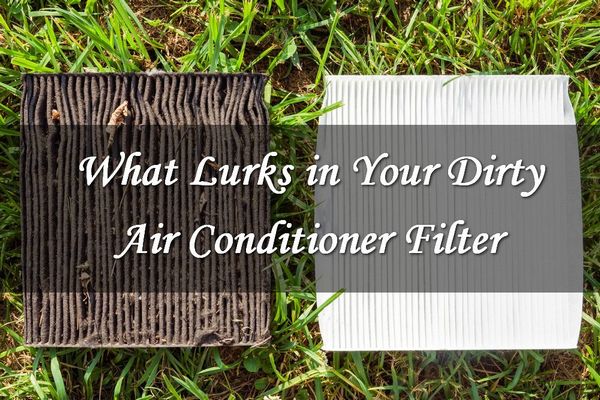 What's Lurking in Your Dirty AC Filter