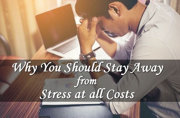 Why You Should Avoid Stress at All Costs
